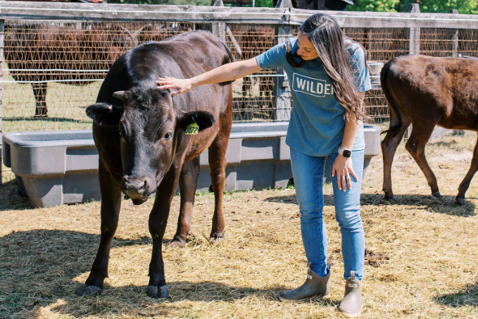 4 Essential Benefits of Buying Half a Cow for Sale
