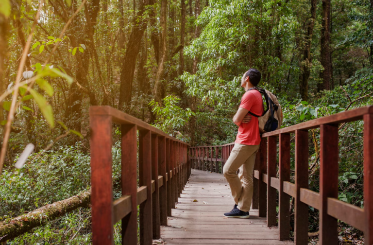 A Gentle Escape: Discovering the Heart of South Kerala’s Soulful Beauty
