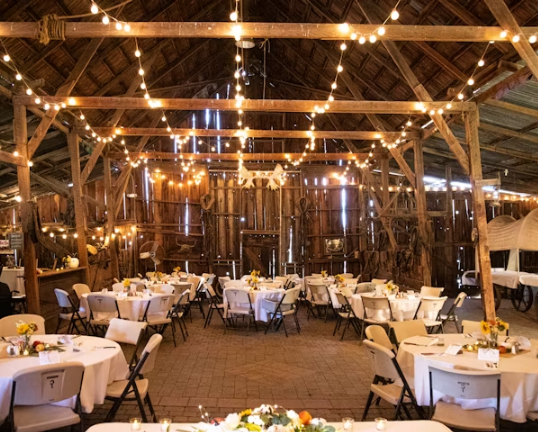 Rustic Elegance Reimagined